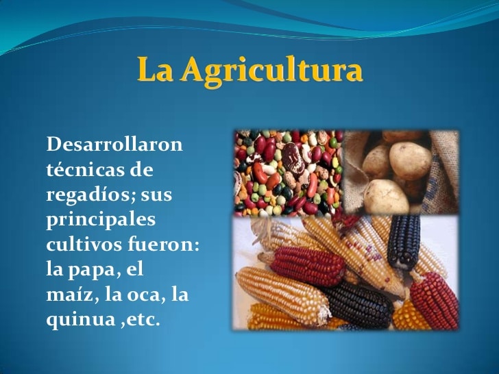 Agricultura de la Cultura Chavin: