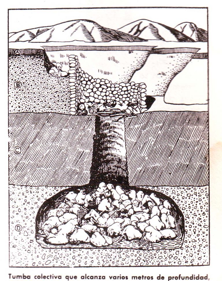 Cultura paracas historia, características, ubicación, y más