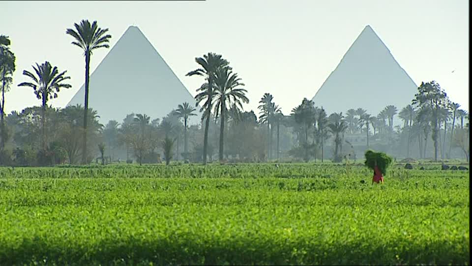 Agricultura Egipcia