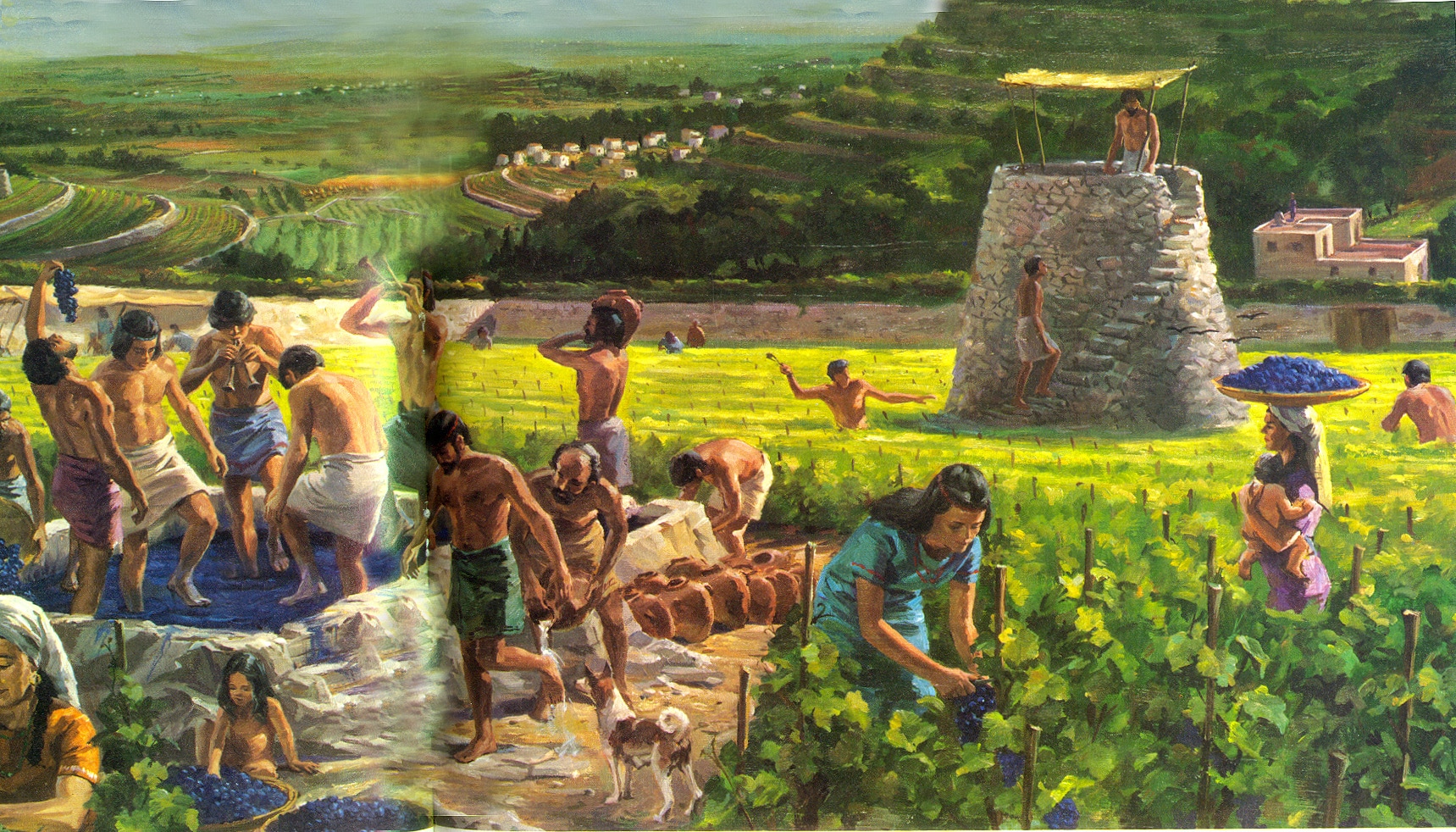 agricultura maya 1