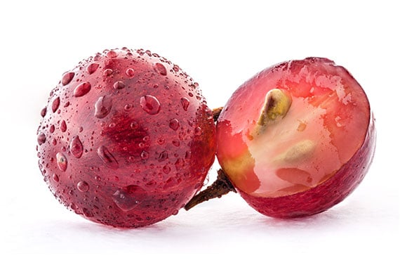 como sembrar uvas