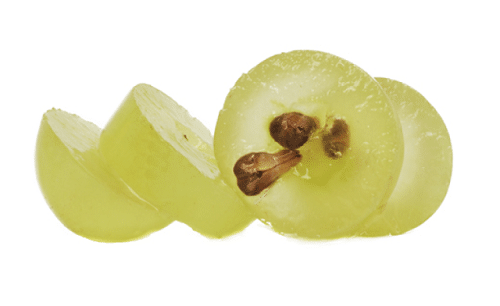 como sembrar uvas