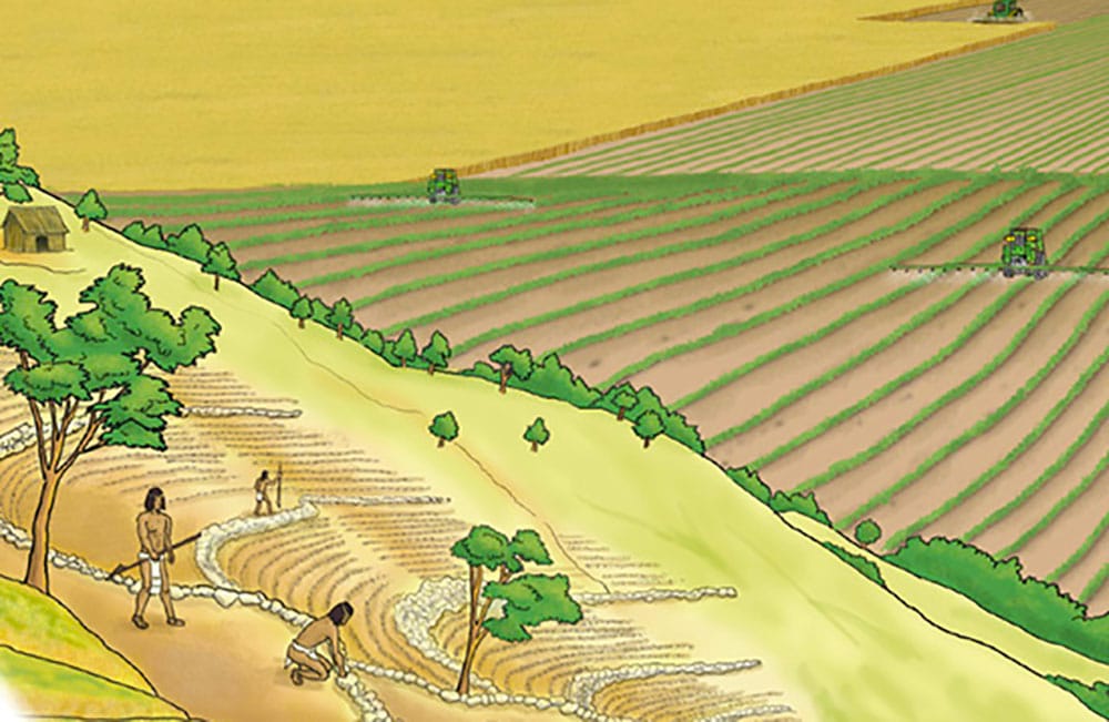 Historia de la Agricultura 1