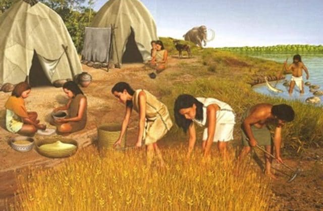 agricultura en el neolitico
