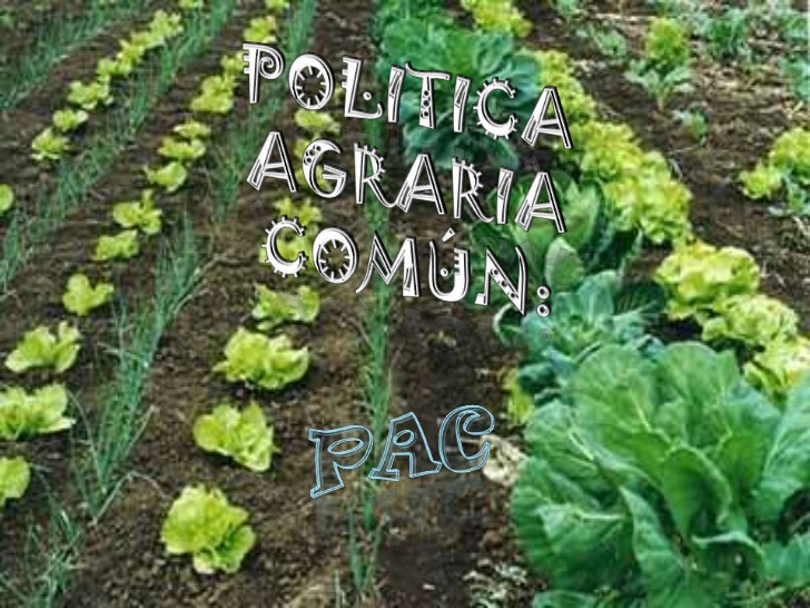 politicas agrarias