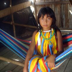 indígenas venezolanos