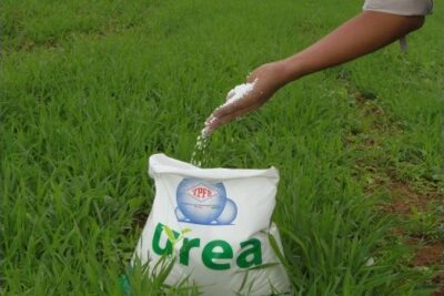 Urea