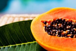 como sembrar papaya