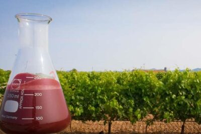 fertilizantes liquidos