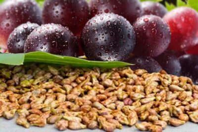 como sembrar uvas