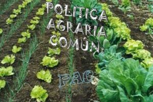 politicas agrarias