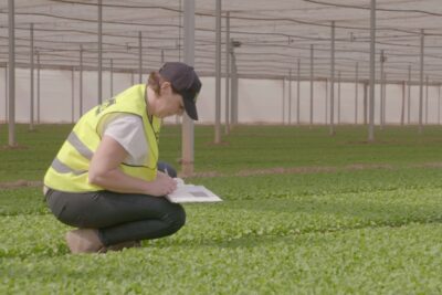 técnico agrícola