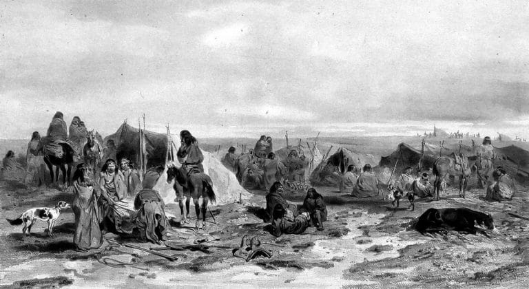 Descubre todo lo relacionado sobre de LOS PAMPAS
