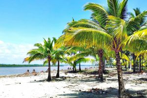COSTA ECUATORIANA