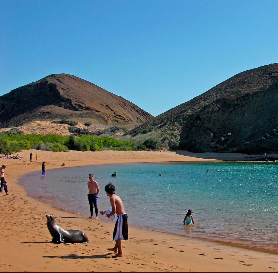 Galápagos: Qué es, significado, historia y mucho más GALAPAGOS