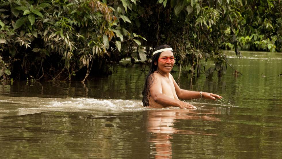 Descubre todo sobre los Tagaeri, cultura y origen tagaeri-2