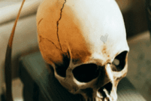 historia de las lenguas muertas o extintas